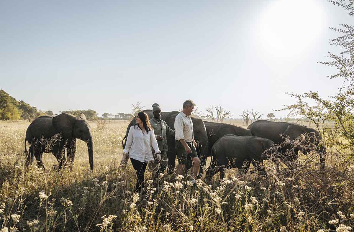 Elephant Havens Experience