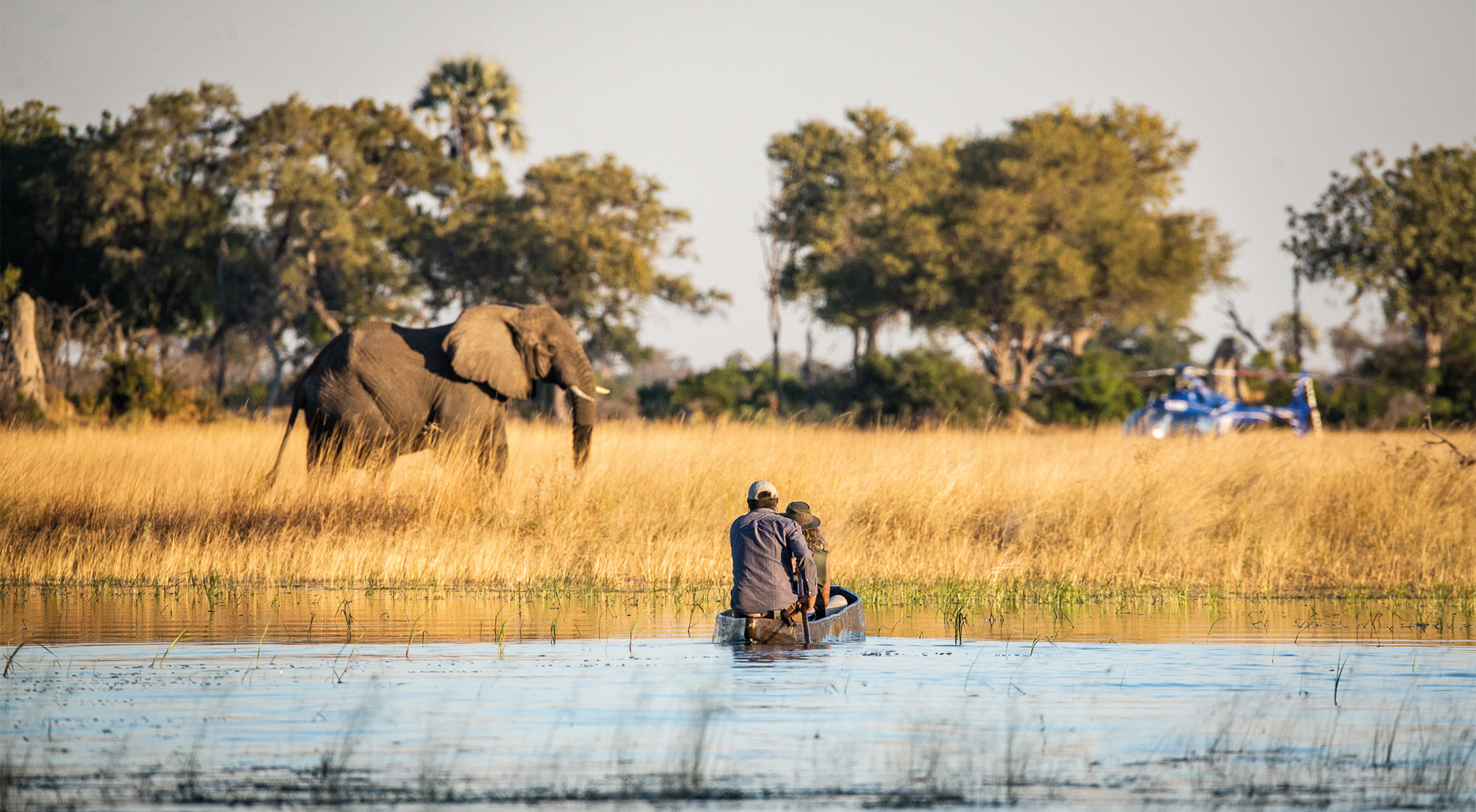 Nature up close from the rivers of the Okavango delta, on a traditional Mokoro